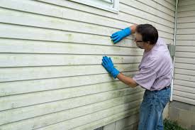 Best Siding Removal and Disposal  in Forest Heights, TX